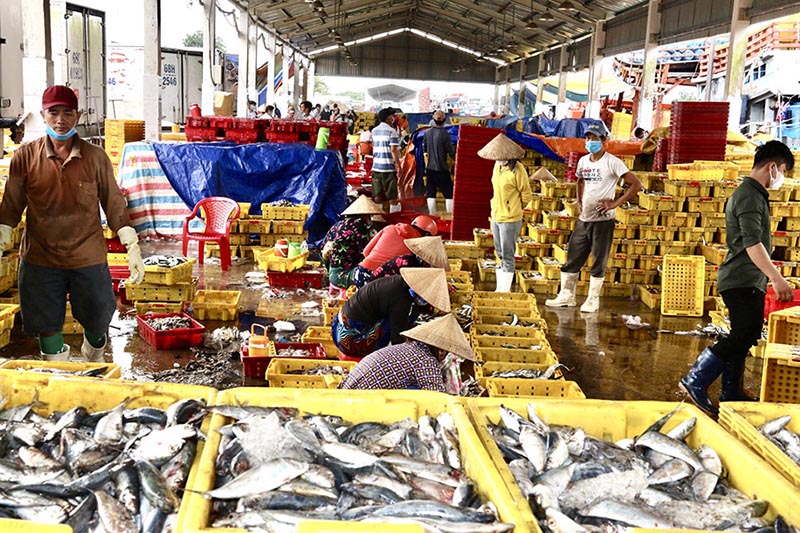 Cà xỉu, đặc sản Kiên Giang độc lạ khiến bao người mê mẩn 8