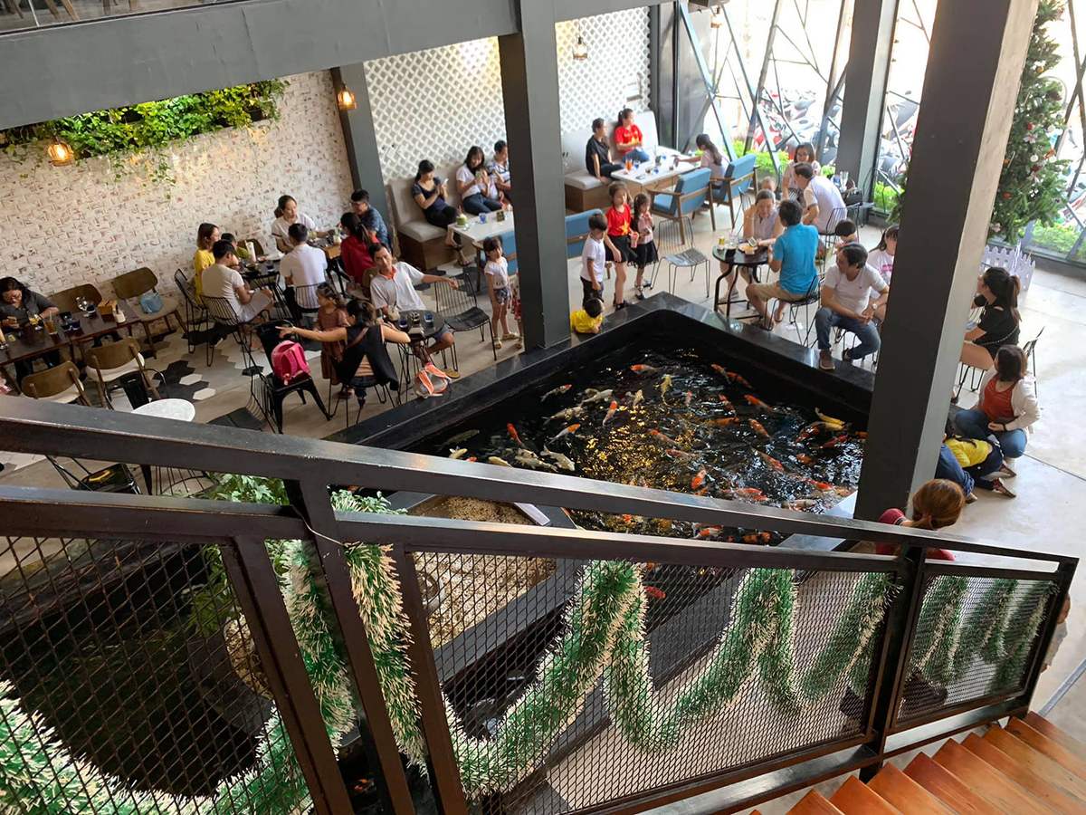 Ghé đến Min Bistro café ngắm hồ cá Koi tuyệt đẹp 6