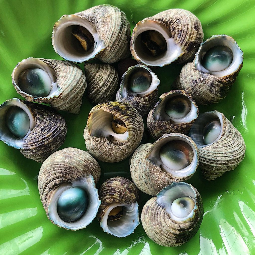 Thưởng thức Ốc ngọt Côn Đảo thơm ngon lừng danh 6