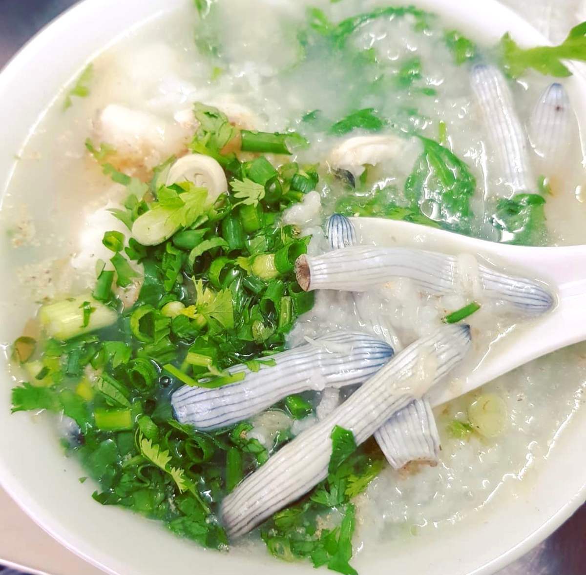 Thưởng thức Trùng biển Côn Đảo với hương vị khó quên 4